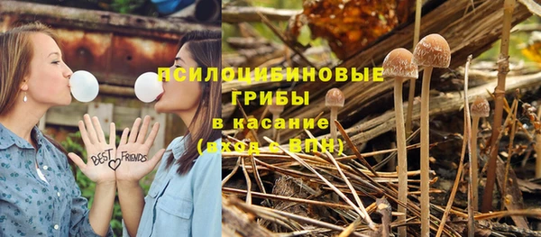 ГАЛЛЮЦИНОГЕННЫЕ ГРИБЫ Богородск