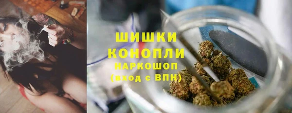 ГАЛЛЮЦИНОГЕННЫЕ ГРИБЫ Богородск