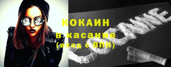 прущие грибы Майский