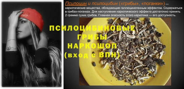 соль курить ск Богданович