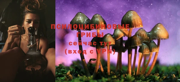 соль курить ск Богданович